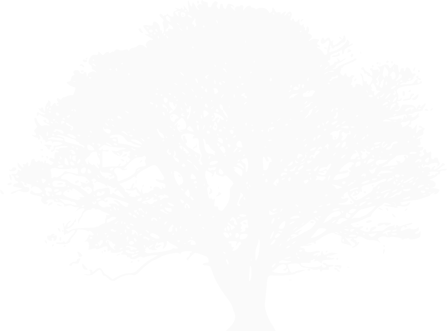 tree image